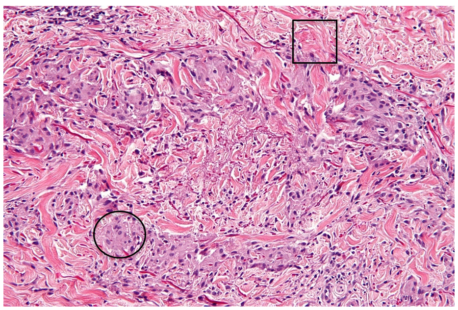 spartan medical research journal